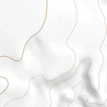 36103SE Page 48 Clayton Topo Preview 2