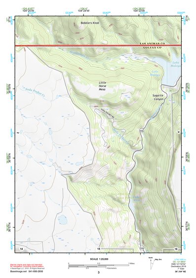 36104NE Page 3 Raton Topo Preview 1