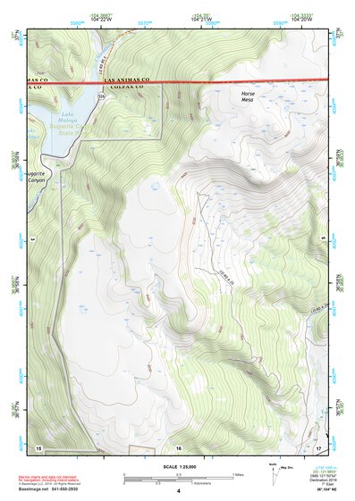 36104NE Page 4 Raton Topo Preview 1
