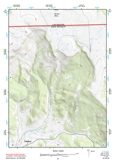 36104NE Page 5 Raton Topo Preview 1