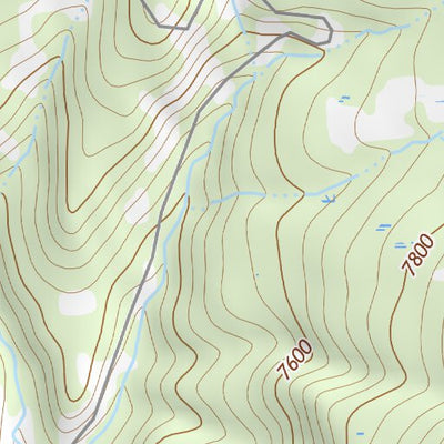 36104NE Page 5 Raton Topo Preview 2