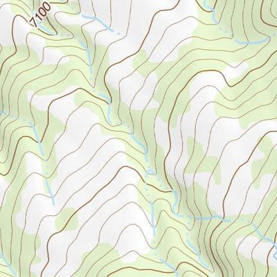 36104NE Page 7 Raton Topo Preview 2