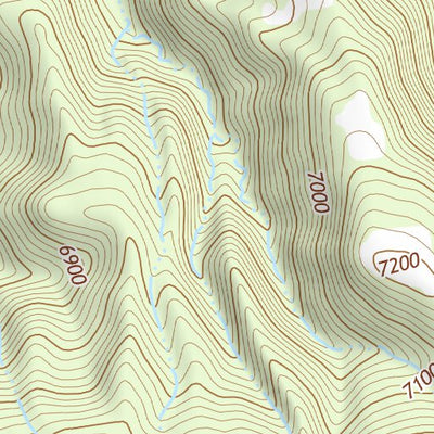 36104NE Page 7 Raton Topo Preview 3