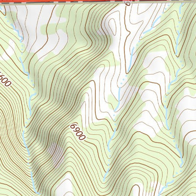 36104NE Page 8 Raton Topo Preview 3