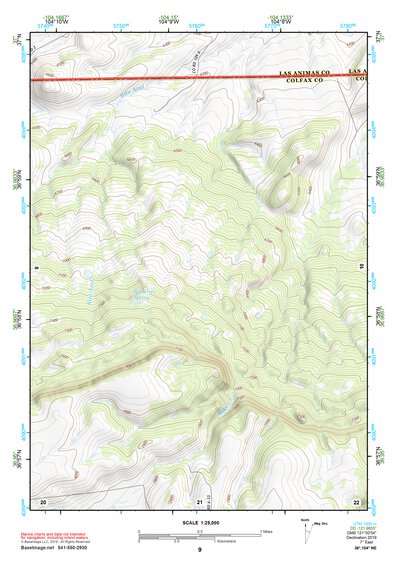 36104NE Page 9 Raton Topo Preview 1