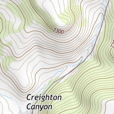 36104NE Page 24 Raton Topo Preview 2