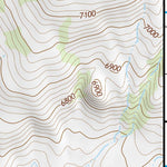 36104NE Page 28 Raton Topo Preview 3