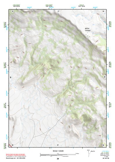36104NE Page 29 Raton Topo Preview 1