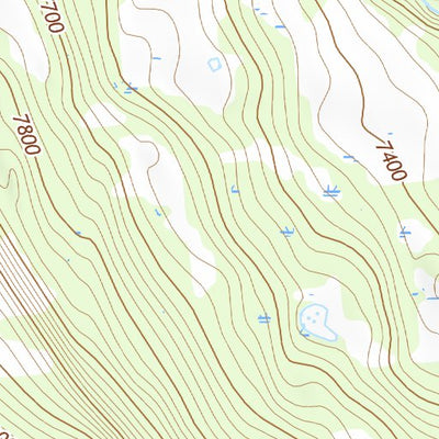 36104NE Page 30 Raton Topo Preview 2