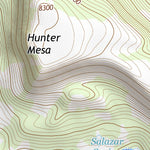 36104NE Page 30 Raton Topo Preview 3