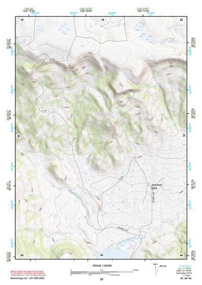 36104NE Page 31 Raton Topo Preview 1