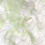 36104NE Page 31 Raton Topo Preview 2