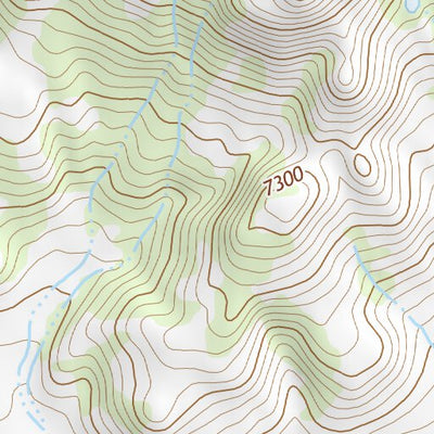 36104NE Page 31 Raton Topo Preview 2