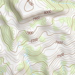 36104NE Page 31 Raton Topo Preview 3