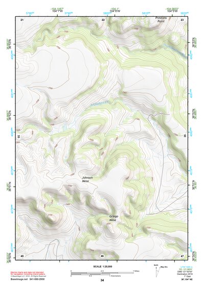 36104NE Page 34 Raton Topo Preview 1