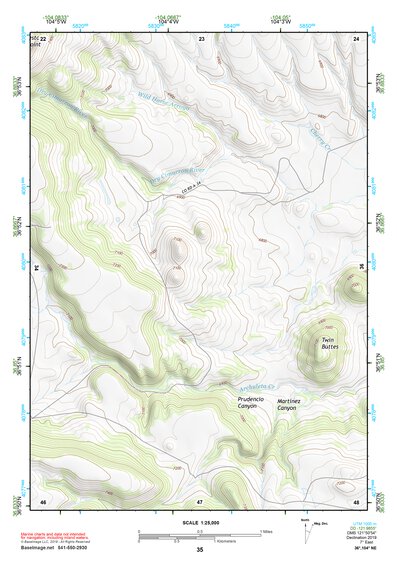 36104NE Page 35 Raton Topo Preview 1