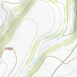 36104NE Page 36 Raton Topo Preview 2