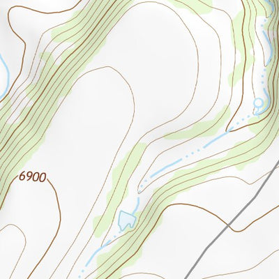 36104NE Page 36 Raton Topo Preview 2