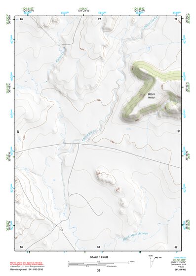 36104NE Page 39 Raton Topo Preview 1