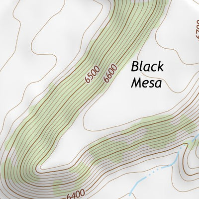 36104NE Page 39 Raton Topo Preview 3