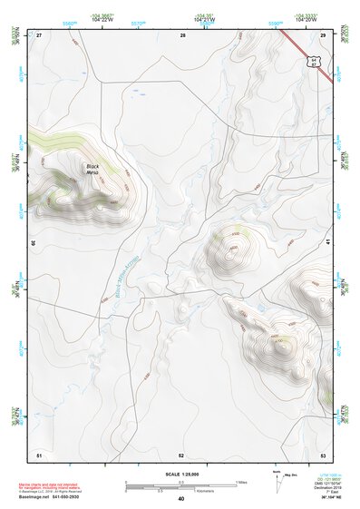 36104NE Page 40 Raton Topo Preview 1