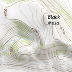 36104NE Page 40 Raton Topo Preview 3