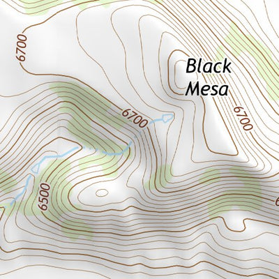 36104NE Page 40 Raton Topo Preview 3