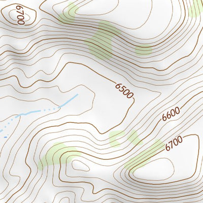 36104NE Page 41 Raton Topo Preview 3