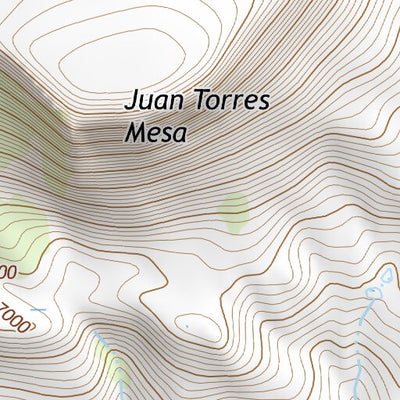 36104NE Page 42 Raton Topo Preview 3