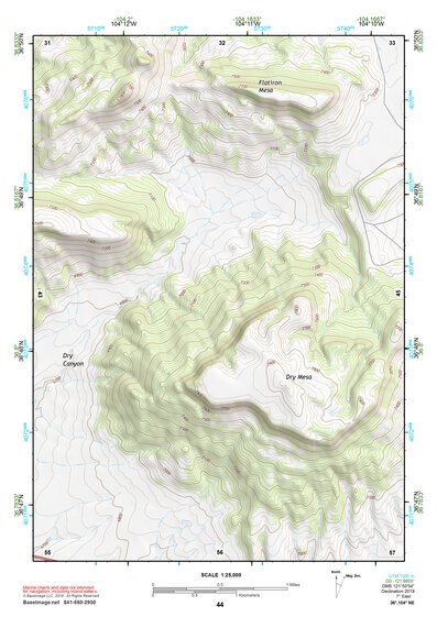 36104NE Page 44 Raton Topo Preview 1