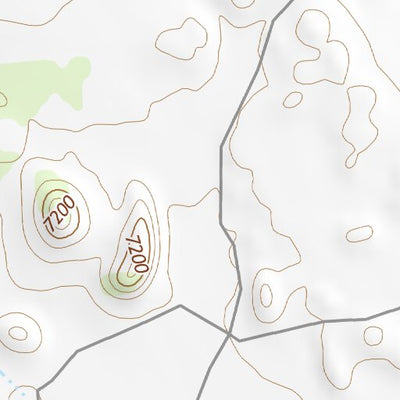 36104NE Page 45 Raton Topo Preview 2