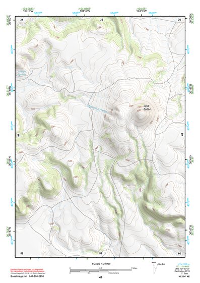 36104NE Page 47 Raton Topo Preview 1