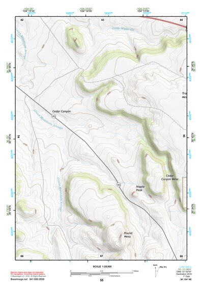 36104NE Page 55 Raton Topo Preview 1