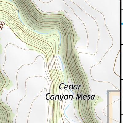 36104NE Page 55 Raton Topo Preview 3