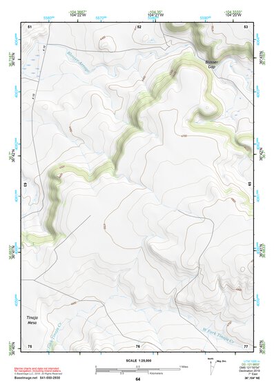 36104NE Page 64 Raton Topo Preview 1