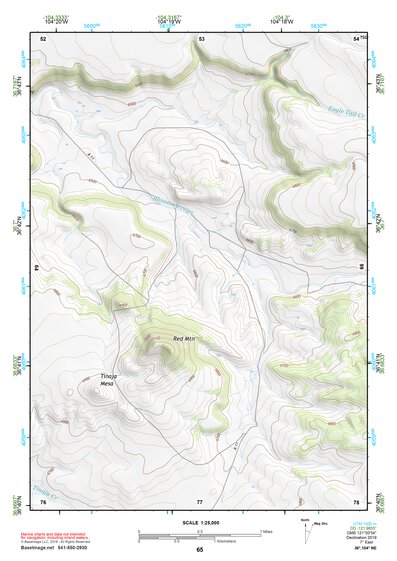 36104NE Page 65 Raton Topo Preview 1