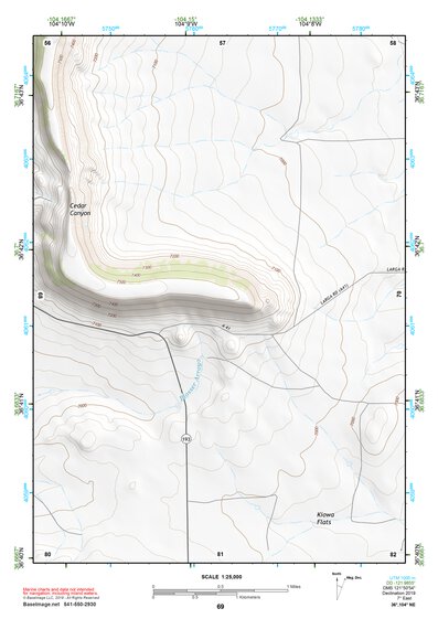 36104NE Page 69 Raton Topo Preview 1