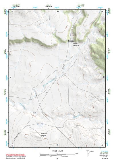 36104NE Page 75 Raton Topo Preview 1