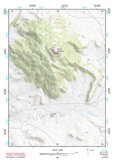 36104NE Page 76 Raton Topo Preview 1