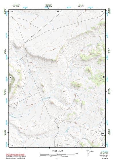 36104NE Page 77 Raton Topo Preview 1