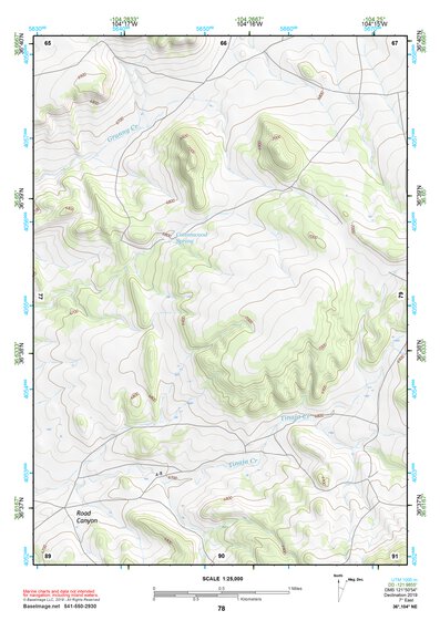 36104NE Page 78 Raton Topo Preview 1