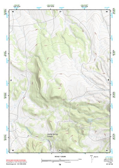 36104NE Page 79 Raton Topo Preview 1