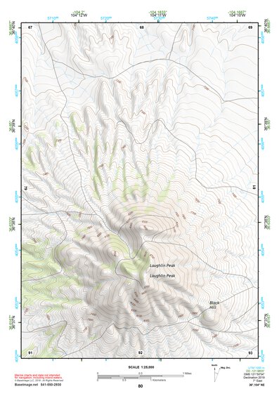 36104NE Page 80 Raton Topo Preview 1