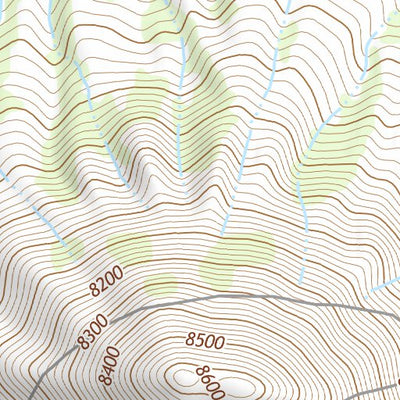 36104NE Page 80 Raton Topo Preview 2