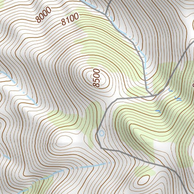 36104NE Page 80 Raton Topo Preview 3