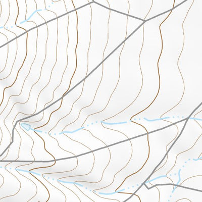 36104NE Page 81 Raton Topo Preview 3