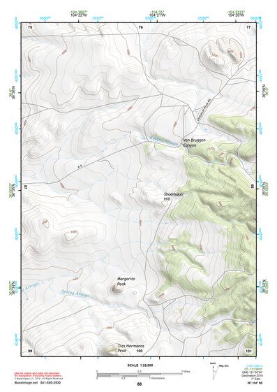 36104NE Page 88 Raton Topo Preview 1