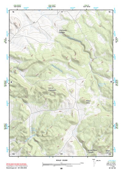 36104NE Page 89 Raton Topo Preview 1