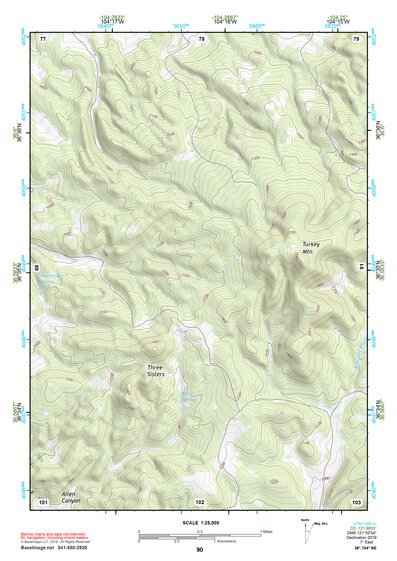 36104NE Page 90 Raton Topo Preview 1