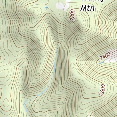 36104NE Raton Topo Bundle Preview 3